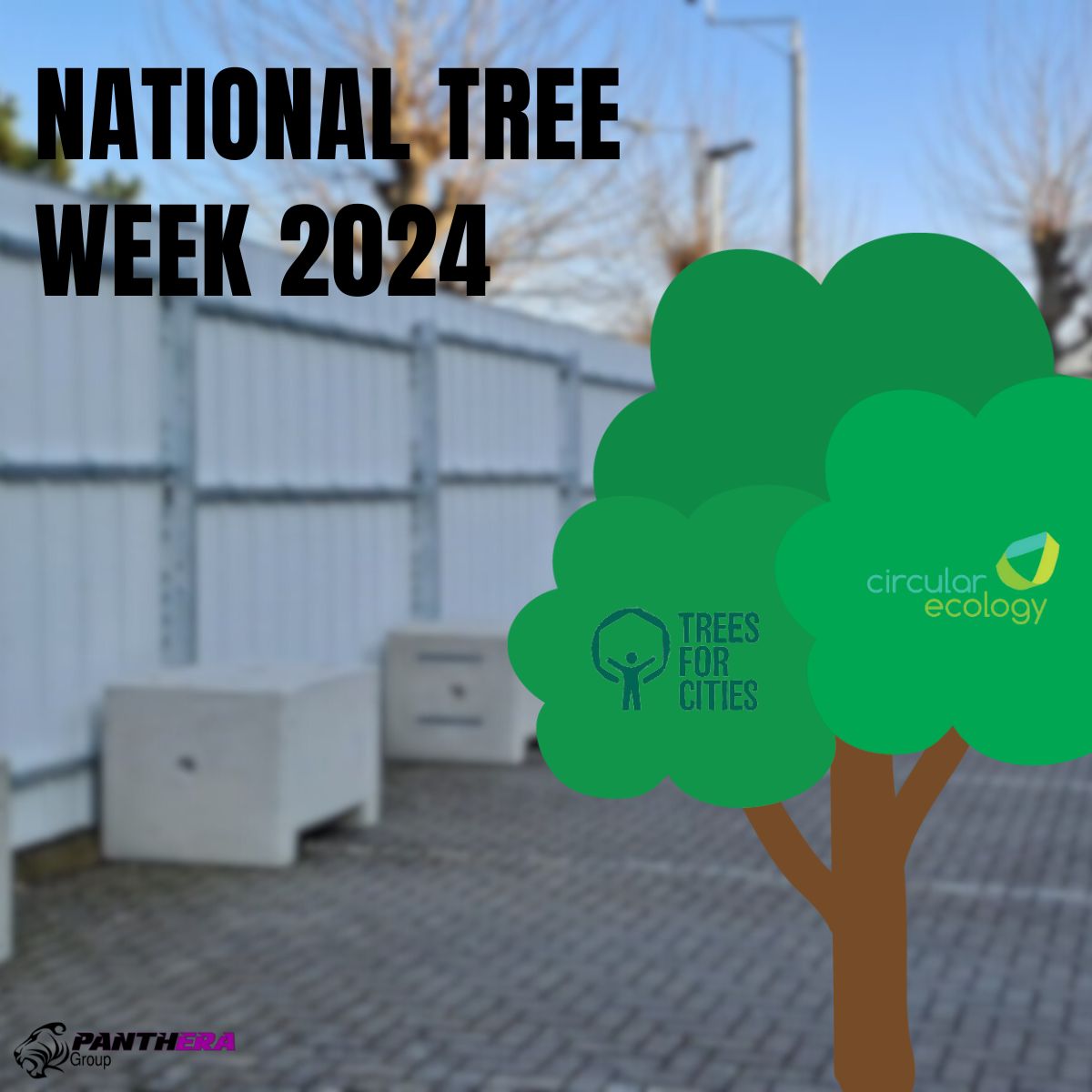 🌳 Happy National Tree Week 🌳

At Panthera Group, we are proud to be partnered with UK charity, Trees for Cities and have committed to planting a tree for every metre of EnviroHoard™ installed! We are also partnered with leading sustainability experts, Circular Ecology.