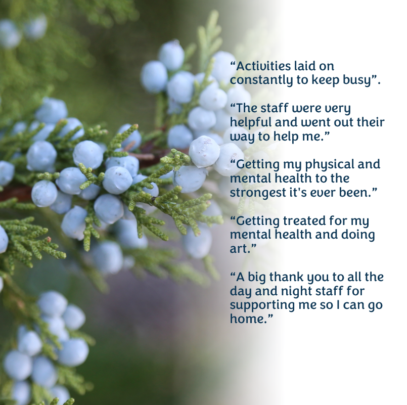 Great to hear! #PatientFeedback #JuniperWardRocks #Proud <a href="/EngagementHIOW/">Engagement at HIOWHealthcare</a> <a href="/HIOWH_NHSFT/">Hampshire and IOW Healthcare NHS Foundation Trust</a> #Grateful