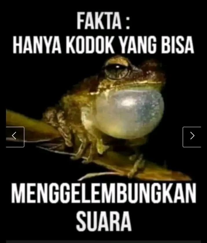 BloggerCihuy's tweet image. #SatuinPutaran siapa yg bisa gelembungkan suara? 
- PramDoel Sudah Menang 50,07%
- ⁠Lawan manipulasi
- ⁠KPUD Bawaslu Jangan Main-main