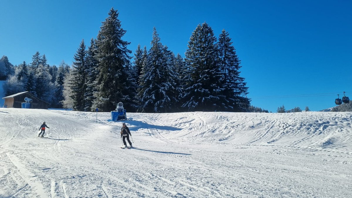 Odette ter Braak tweet media