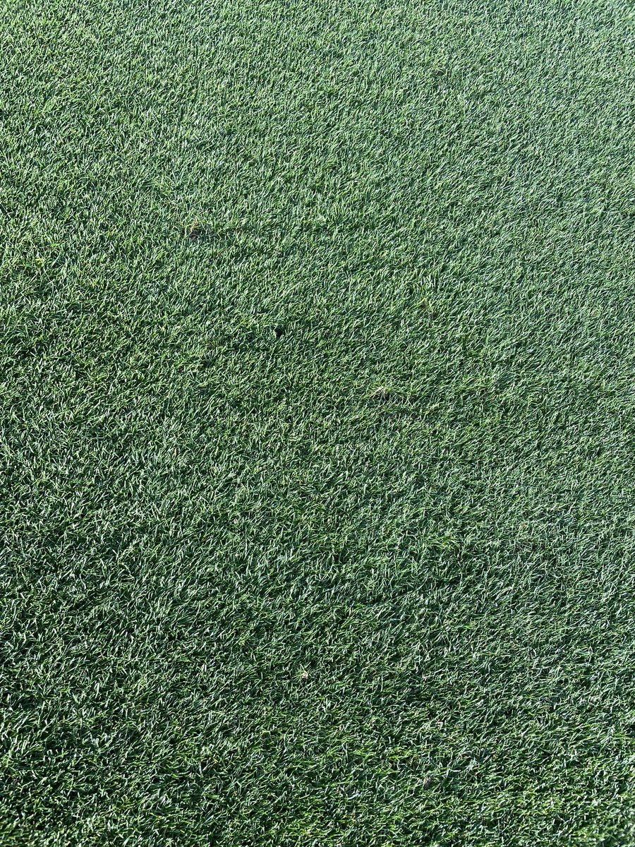 Kris Nurse tweet media