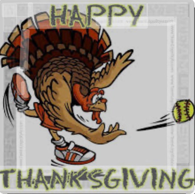 SAHS Fastpitch (@sahs_fastpitch) on Twitter photo 
