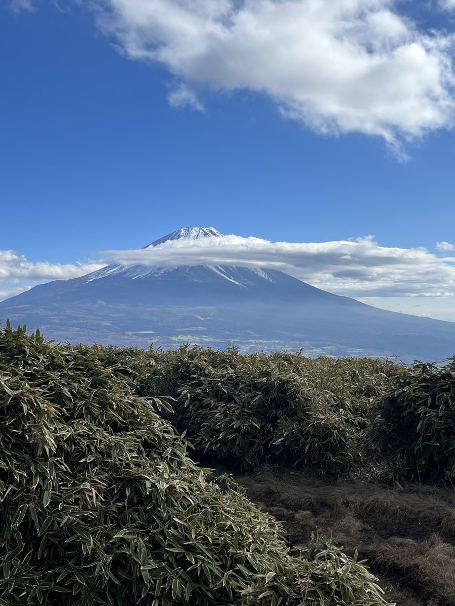 そういえば先日、竜ヶ岳で闇鍋パーティーしました〜、「雲よ、雲よ、少しでもいなくなってくれ」と言わんばかりの富士山でした🗻
#春から学習院 #春から学習院大学 #春から学習院女子 #春から学習院女子大学 #登山 #竜ヶ岳