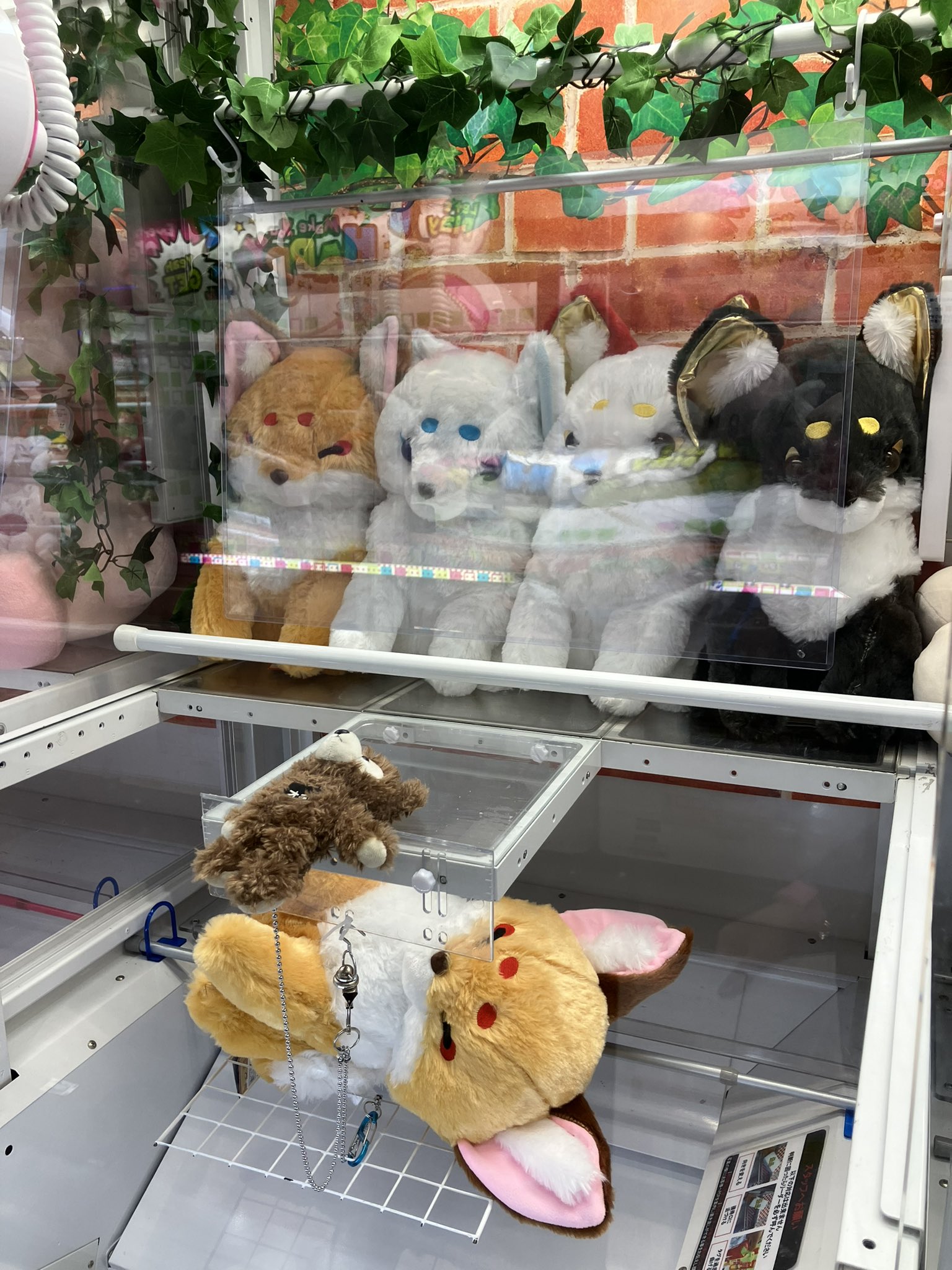 ゴリパラ見聞録 ゴリパラ百貨店 ぬいぐるみ クレーンゲーム 景品