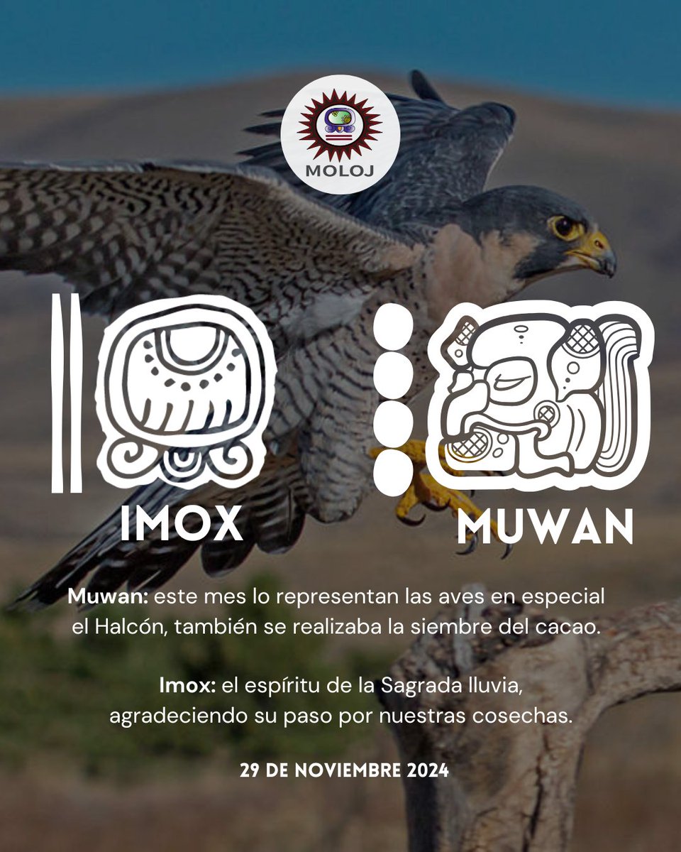 asociacionmoloj's tweet photo. #Imox 💧| Agradecemos a la energía del abuelo Imox por la visita que realizó durante varios meses, gracias por la fuente de vida, por abastecer ríos, lagos, mares.🔥🦎
#agua
#vida
#espiritualidadmaya https://t.co/eNzKuzfhbG