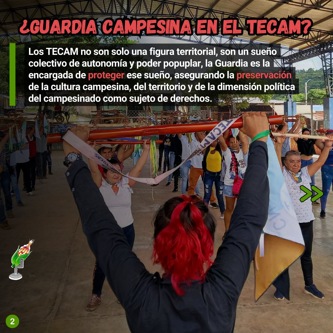 Ecos Disonantes tweet media