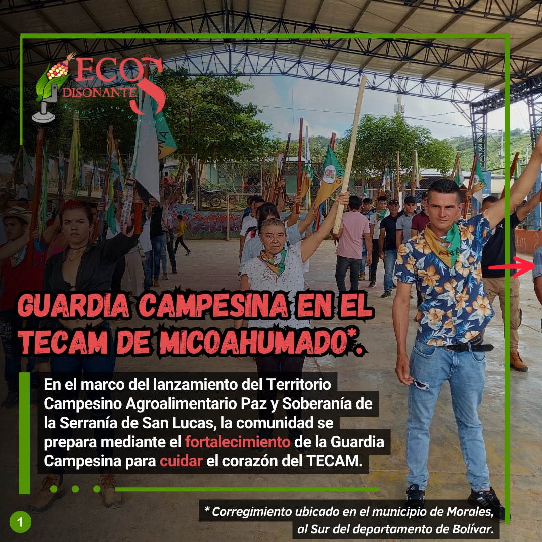 Ecos Disonantes tweet media