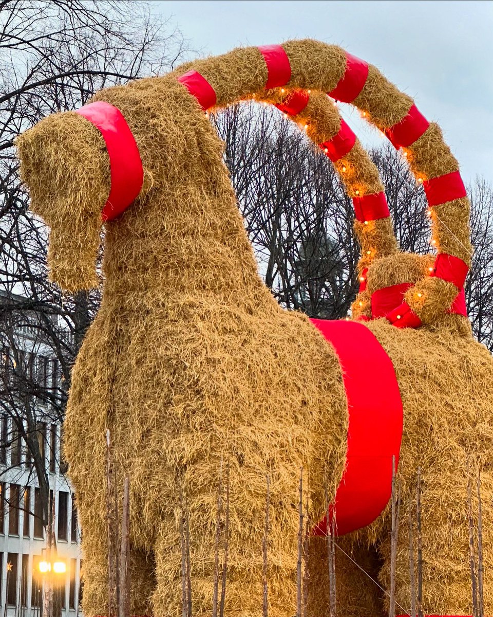I’m all styled up and ready for a goatwalk this sunday 🎉 And as a gentlegoat - the older, the more stylish! My inauguration kicks off on sunday at 4 PM, swedish time! Remember that bags are not allowed in front of the stage. You can watch it live at the link in bio!