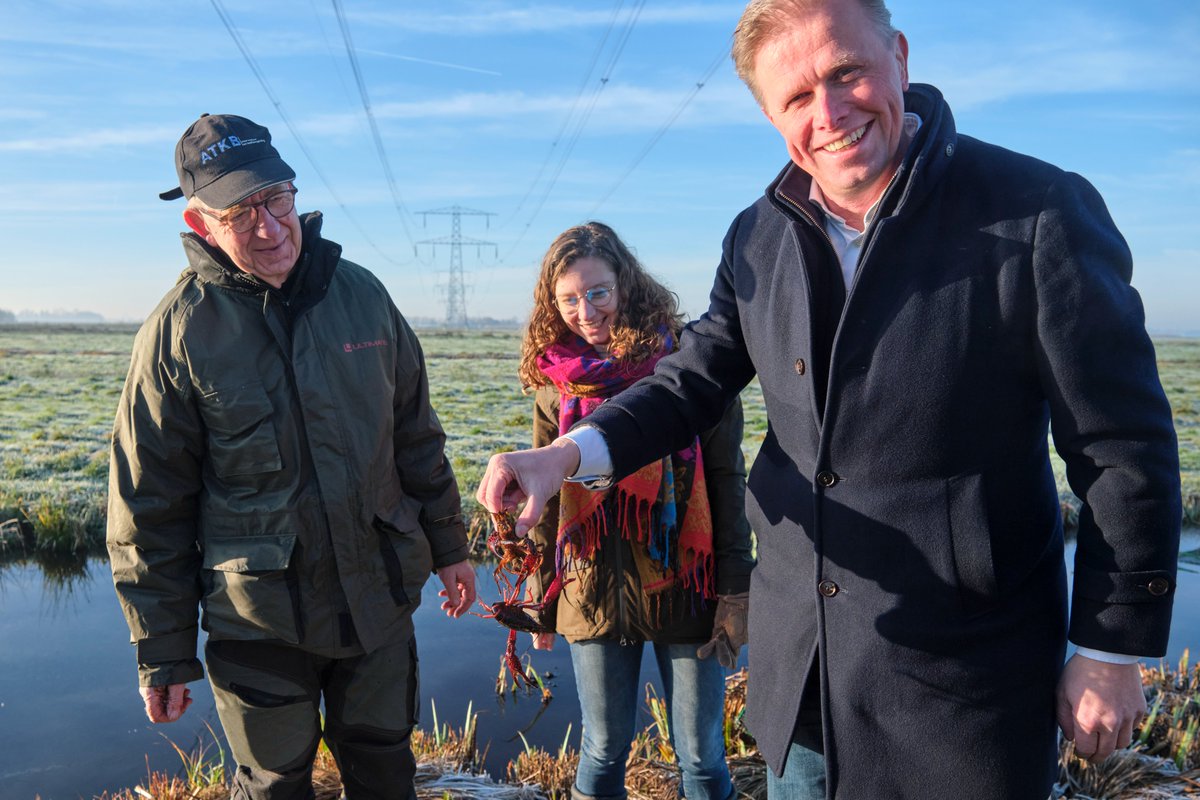 In de vroege ochtend de Krimpenerwaard ingedoken om te zien en te horen welke werkzaamheden er met de middelen van Provinciale Staten worden uitgevoerd in de pilot Rivierkreeften. De pilot moet inzicht geven in welke vangtuigen en technieken het meest effectief zijn. #KRW #water