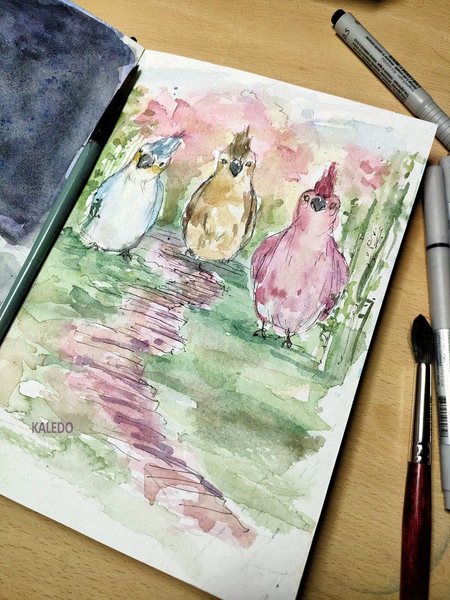 kaledo69's tweet image. Lizzy, Scar and Jimmy&apos;s hill parrots
watelcolor sketch

#wildlifesmp #lifeseries #ldshadowlady #goodtimeswithscar #solidaritygaming