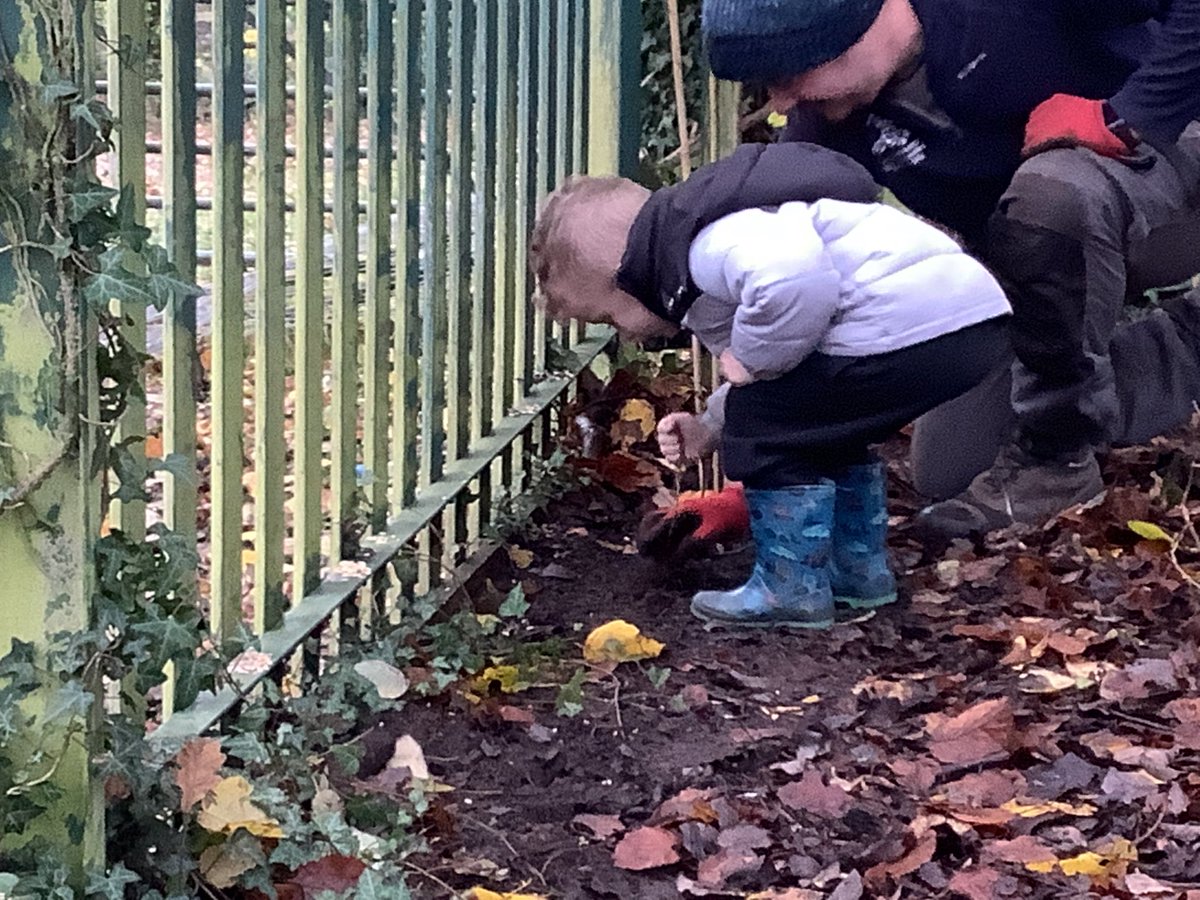 A huge thank you to Nathan from <a href="/Keep_Wales_Tidy/">Keep Wales Tidy</a> for helping Nursery plant lots of tree whips this week🌳Activities such as these support our children to connect with nature while helping our 🌎  #NationalTreeWeek #OL