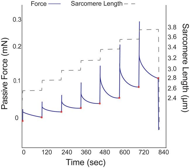 Experimental Physiology (@expphysiol) on Twitter photo <a href="/PrivettGrace/">Grace Privett, PhD</a>, Austin W. Ricci, Karen Wiedenfeld Needham, <a href="/BiologyMuscle/">Muscle Cellular Biology Laboratory</a> (<a href="/HphyUo/">UO Human Physiology</a>), Larry L. David, Yong How Tan and <a href="/KarinaNakayama/">Karina Nakayama</a> (<a href="/OHSUNews/">OHSU News</a>) show how fatiguing #exercise reduces cellular passive #Youngsmodulus in human vastus lateralis muscle!
📜buff.ly/3B2m0Wy <a href="/PrivettGrace/">Grace Privett, PhD</a>, Austin W. Ricci, Karen Wiedenfeld Needham, <a href="/BiologyMuscle/">Muscle Cellular Biology Laboratory</a> (<a href="/HphyUo/">UO Human Physiology</a>), Larry L. David, Yong How Tan and <a href="/KarinaNakayama/">Karina Nakayama</a> (<a href="/OHSUNews/">OHSU News</a>) show how fatiguing #exercise reduces cellular passive #Youngsmodulus in human vastus lateralis muscle!
📜buff.ly/3B2m0Wy