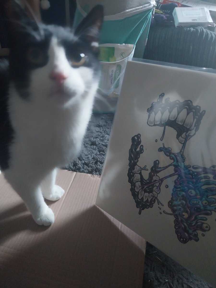 KweenLegend tweet media