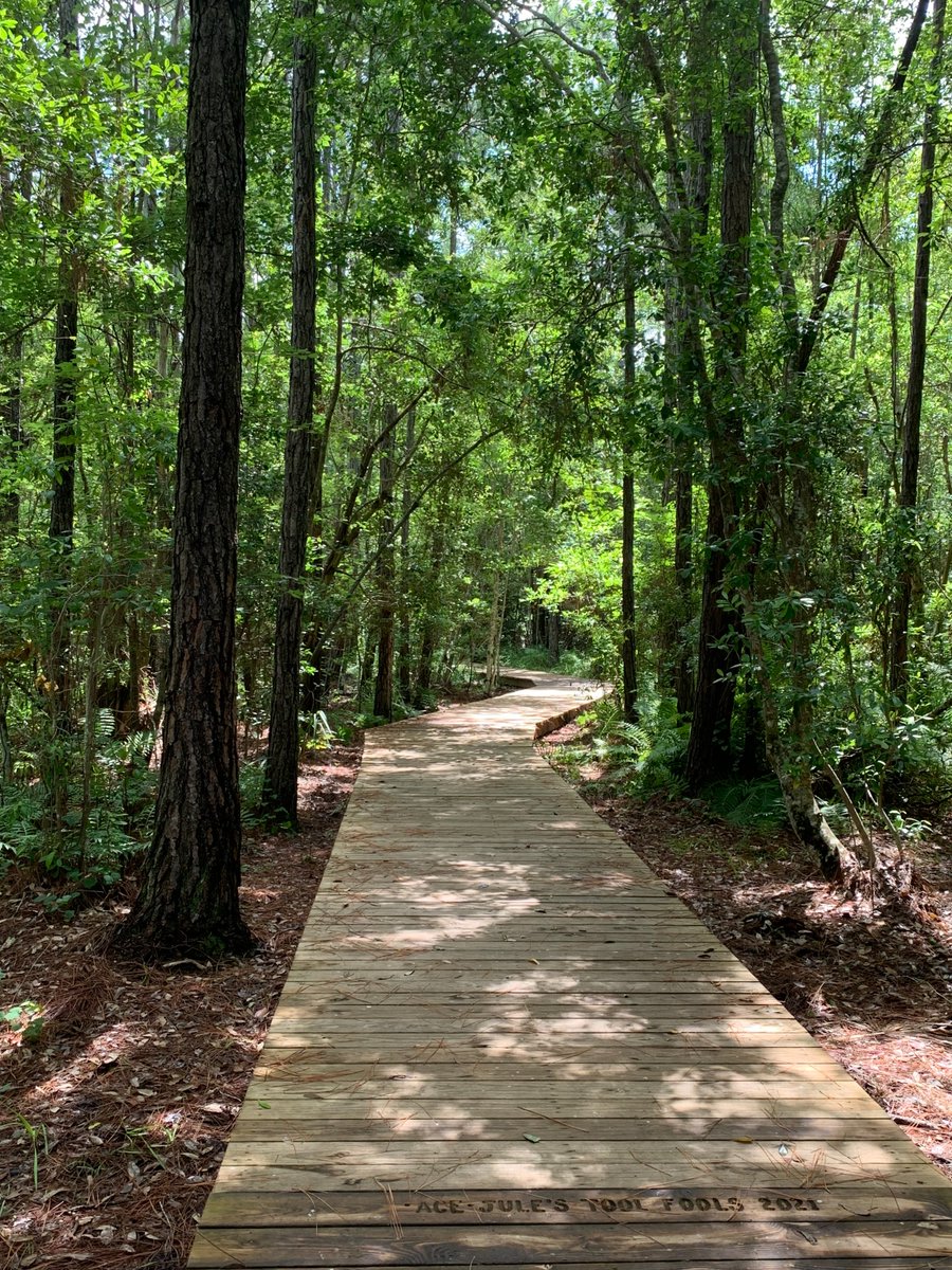 TimucuanNPS's tweet image. #OptOutside instead of shopping on Black Friday! Come hike at any of the Timucuan Preserve sites and work off that Thanksgiving meal. Theodore Roosevelt Area, Cedar Point, Fort Caroline, and Kingsley Plantation all have hiking trails, and are open today!