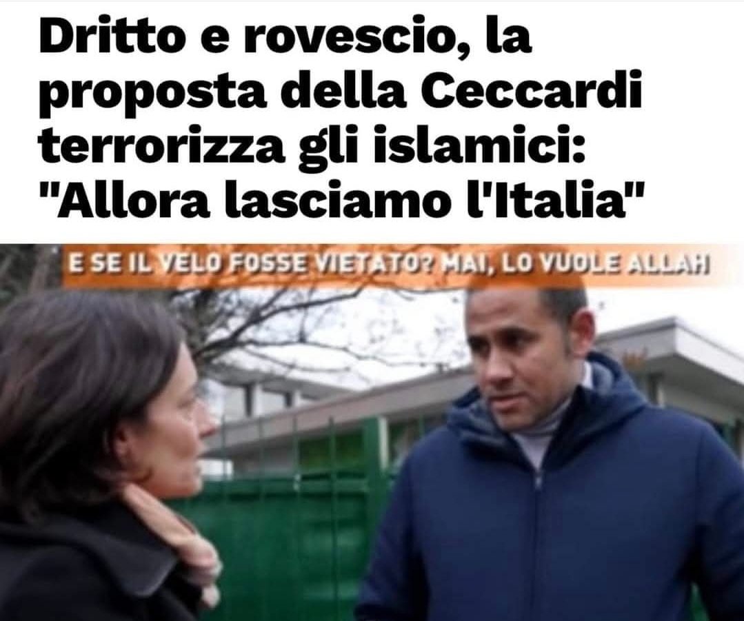 Max Ferrari tweet media