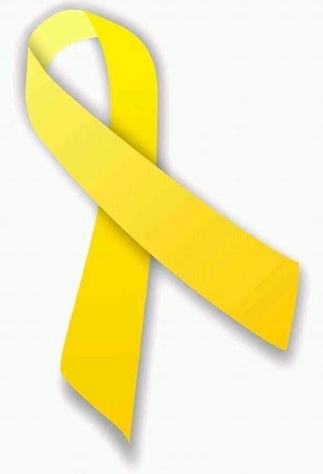 Yo soy listón amarillo.💛 
Los animales NO se maltratan, NO se golpean ni mucho menos se les quita la vida. 🐾🎗️💛
RESPETA LA VIDA de los animalitos. 💛