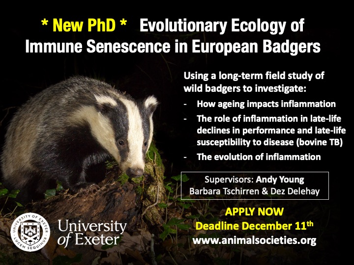 Andy Young (@animalsocieties) on Twitter photo * NEW #PhD * #Evolution #Ecology of Immune #Senesence in Wild Badgers with me, <a href="/B_Tschirren/">Barbara Tschirren</a> and our brilliant collaborators @ APHA, at <a href="/UniExeCEC/">University of Exeter CEC</a> in Cornwall. 50 year data sets+immune analyses.
PLEASE SHARE!
See animalsocieties.org and apply here: exeter.ac.uk/study/funding/… * NEW #PhD * #Evolution #Ecology of Immune #Senesence in Wild Badgers with me, <a href="/B_Tschirren/">Barbara Tschirren</a> and our brilliant collaborators @ APHA, at <a href="/UniExeCEC/">University of Exeter CEC</a> in Cornwall. 50 year data sets+immune analyses.
PLEASE SHARE!
See animalsocieties.org and apply here: exeter.ac.uk/study/funding/…