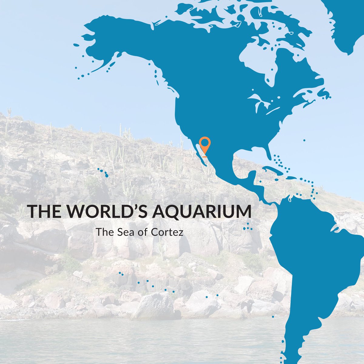 freebornemedia's tweet photo. Do the fish have talent? #ouroceans https://t.co/JuQyCwQyZ0