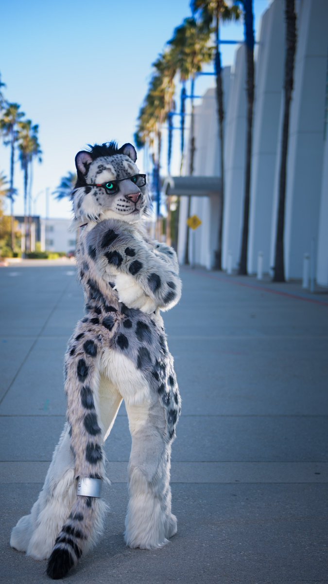 Fateclaw (@fateclaw) on Twitter photo Caught you looking at my tail ... well, what do you think of it? #FursuitFriday
Maybe you should tell me in person at MFF next week!
πͺ‘: <a href="/Beetlefursuits/">Beetlecat.bsky.social</a>
πΈ: <a href="/Catamountphotos/">@Catamountain</a> Caught you looking at my tail ... well, what do you think of it? #FursuitFriday
Maybe you should tell me in person at MFF next week!
πͺ‘: <a href="/Beetlefursuits/">Beetlecat.bsky.social</a>
πΈ: <a href="/Catamountphotos/">@Catamountain</a>