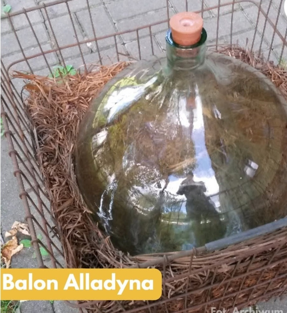 𝙈𝙤𝙣𝙞𝙠𝙖 ❤️🌹 tweet media