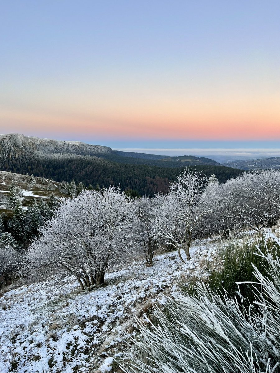 otsancy tweet picture