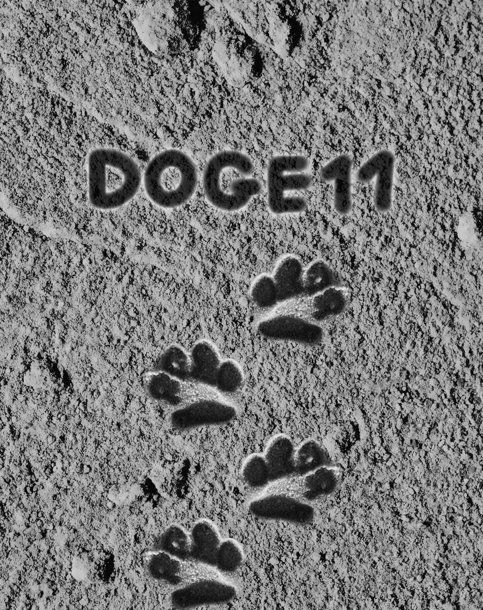doge_xi's tweet photo. @BillyM2k 👀👀 https://t.co/CSRqChu54l