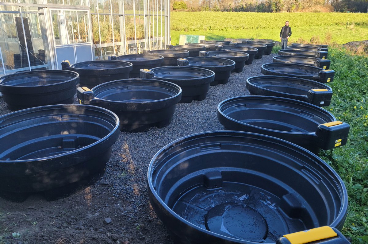 Marcin Penk (@penkmar) on Twitter photo Introducing ExOPond (Experimental Outdoor Pond) mesocosm system😃. Experiments start in spring 2025 on the effects of predators on resilience to perturbations. Reach out to collaborate on this or future experiments. Thanks <a href="/UCDSBES/">Sch. Biol. & Env. Sc</a> for funding and <a href="/_Rosemount/">UCD Rosemount</a> for facilitating! Introducing ExOPond (Experimental Outdoor Pond) mesocosm system😃. Experiments start in spring 2025 on the effects of predators on resilience to perturbations. Reach out to collaborate on this or future experiments. Thanks <a href="/UCDSBES/">Sch. Biol. & Env. Sc</a> for funding and <a href="/_Rosemount/">UCD Rosemount</a> for facilitating!