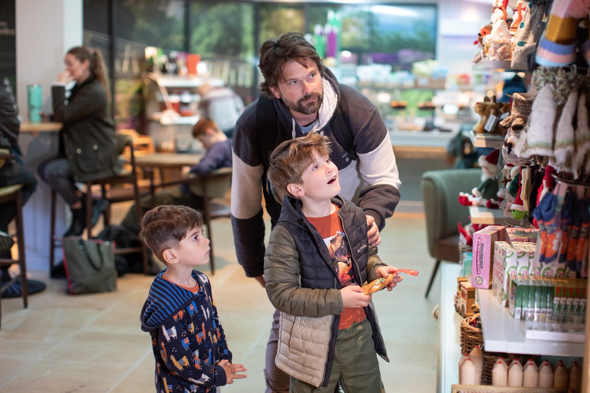 Adventure Play tweet media