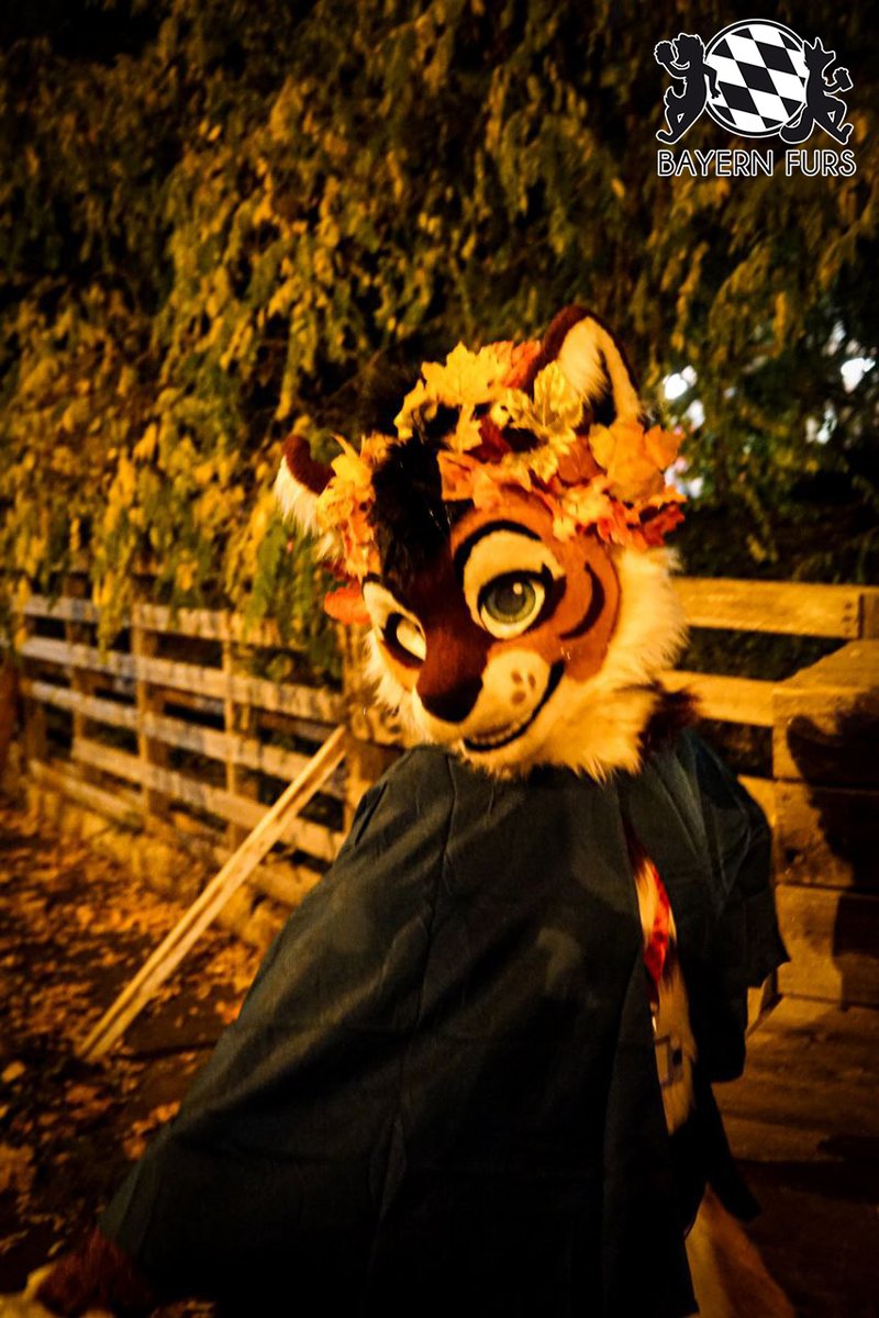 „Wenn die Farben des Herbstes erstrahlen, scheint die Welt in einem goldenen Licht“

#BFD15 #FursuitFriday

🐱 <a href="/Werikane/">Werikane | Khalu𝑟𝑎 🍂 🔜EF</a> 
📸 <a href="/TheGermanWolf/">Stoegi</a> 

Ihr wollt uns unterstützen? Super!
Dann hier entlang, unter
bayern-furs.de/ueberuns/verei…