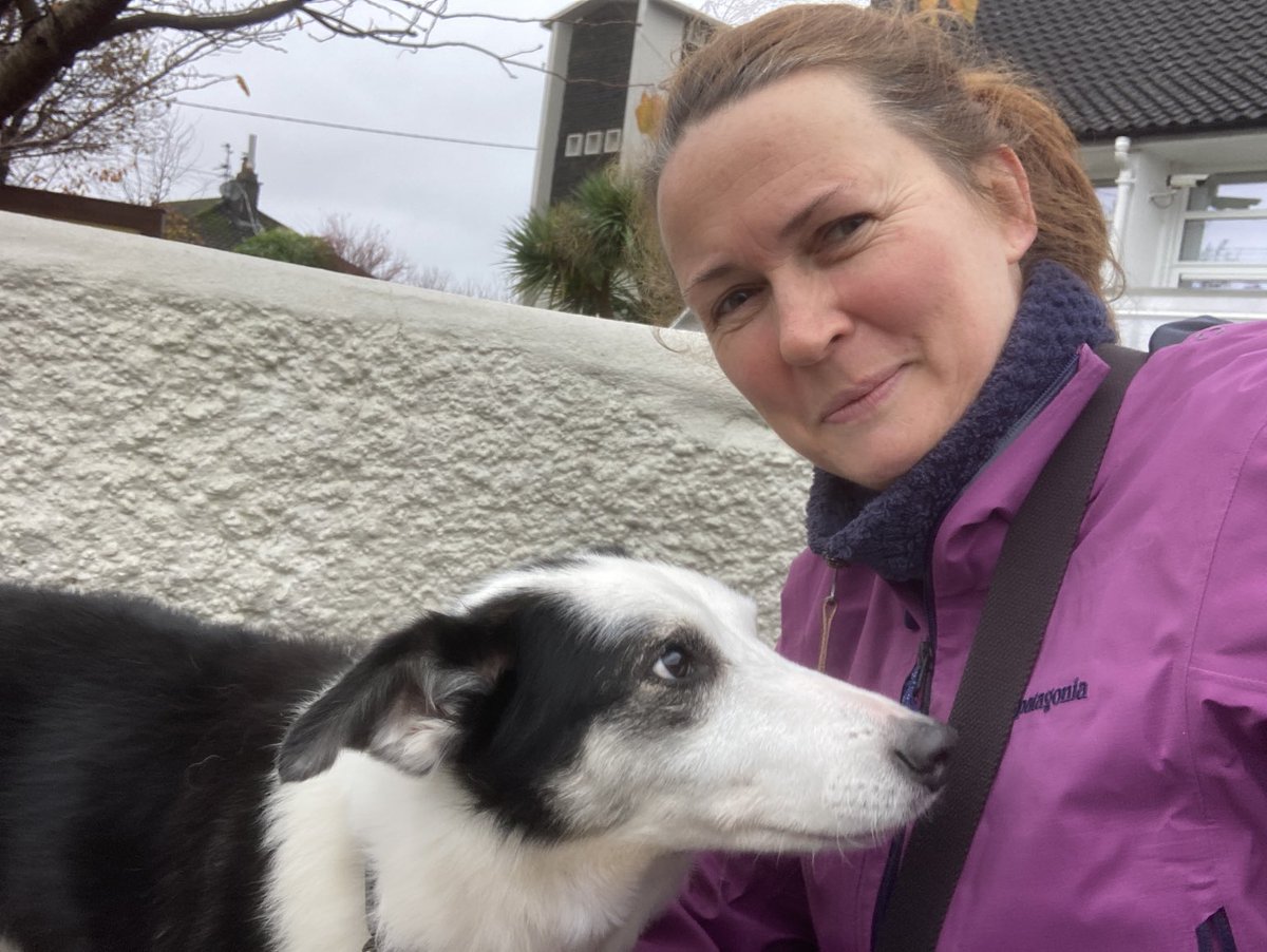 Clodagh Harrington tweet media