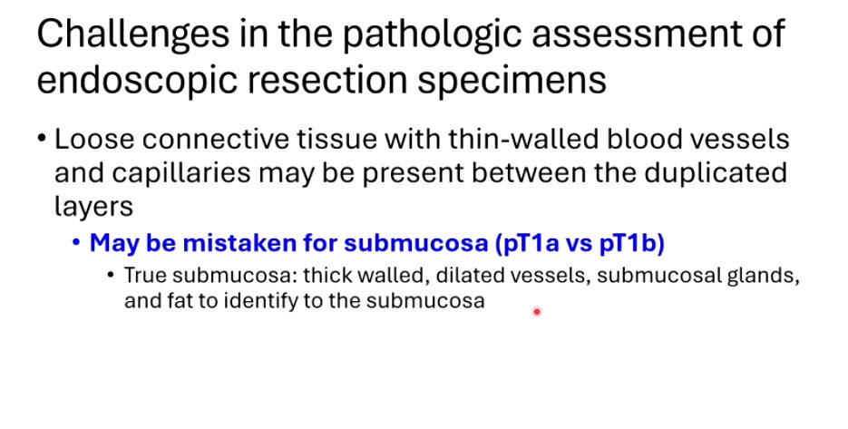 Janiranavarro's tweet image. Esophagus-duplicated muscularis mucosae

Dr. Bell #CAP24 #pathology #pathologists #PathTwitter #PathX #pathresidents #pathfellow #GIpath