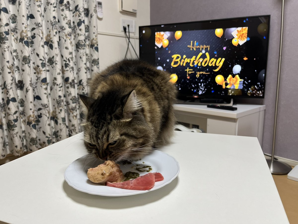KotobukiTen's tweet photo. ことは4歳になりました🎂 https://t.co/IH6wHmYTVq
