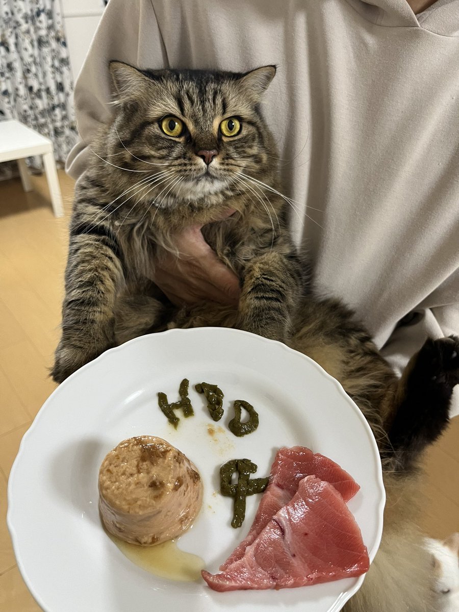 KotobukiTen's tweet photo. ことは4歳になりました🎂 https://t.co/IH6wHmYTVq