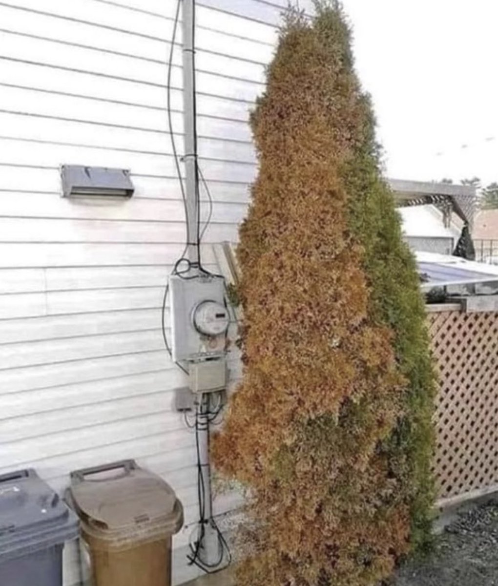 One of the main reasons why more and more people are getting sick is constant exposure to nnEMFs and we have the undeniable evidence to back up this claim.

Here are some things you must know in order to navigate our nnEMF -filled world better and avoid sickness.

Thread🧵