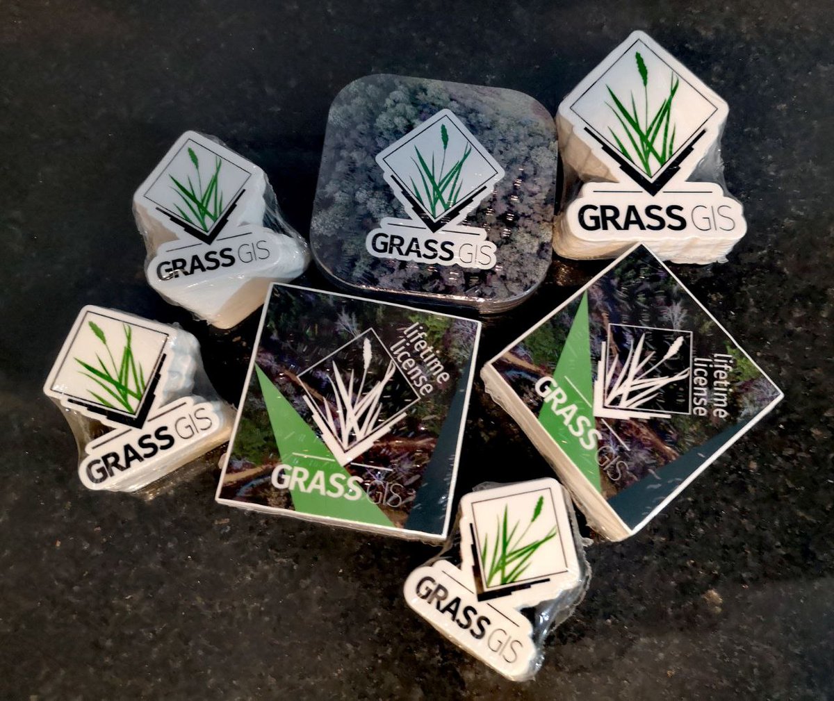 Verónica Andreo tweet media