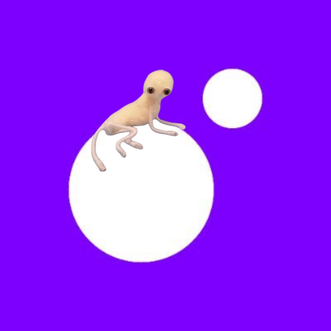 earlhaslegs's tweet photo. @moonpay gmearl
-earl https://t.co/7ocDw49hFI