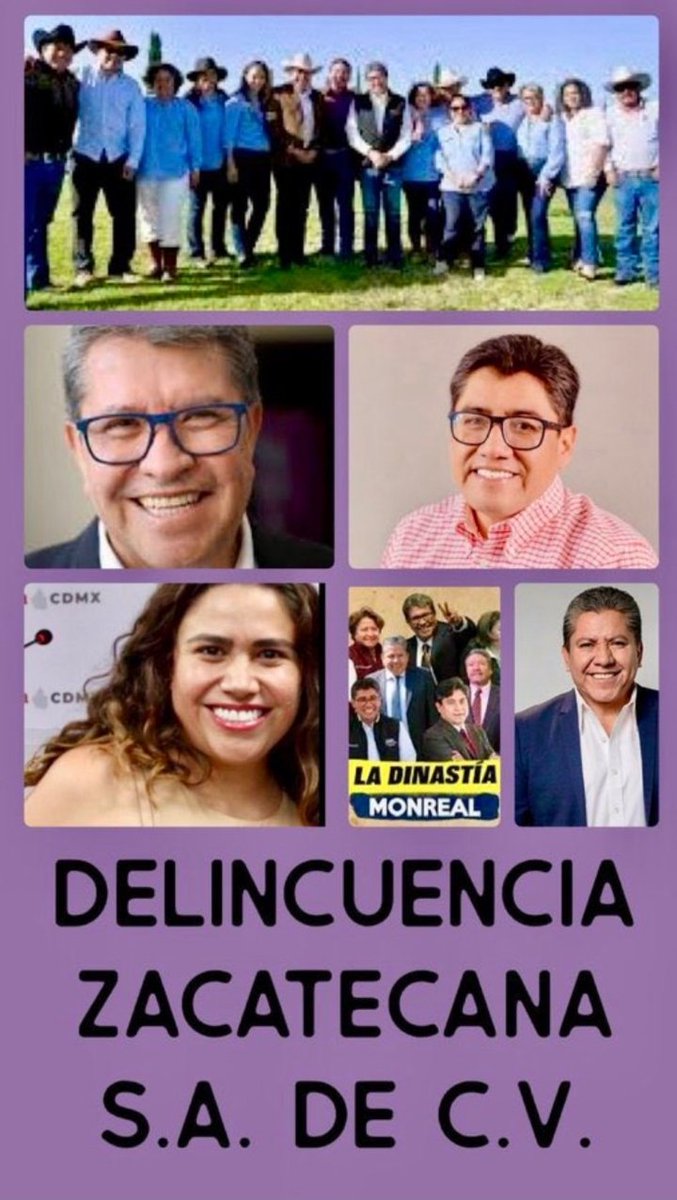 Laura, la Gata tripolar tweet media