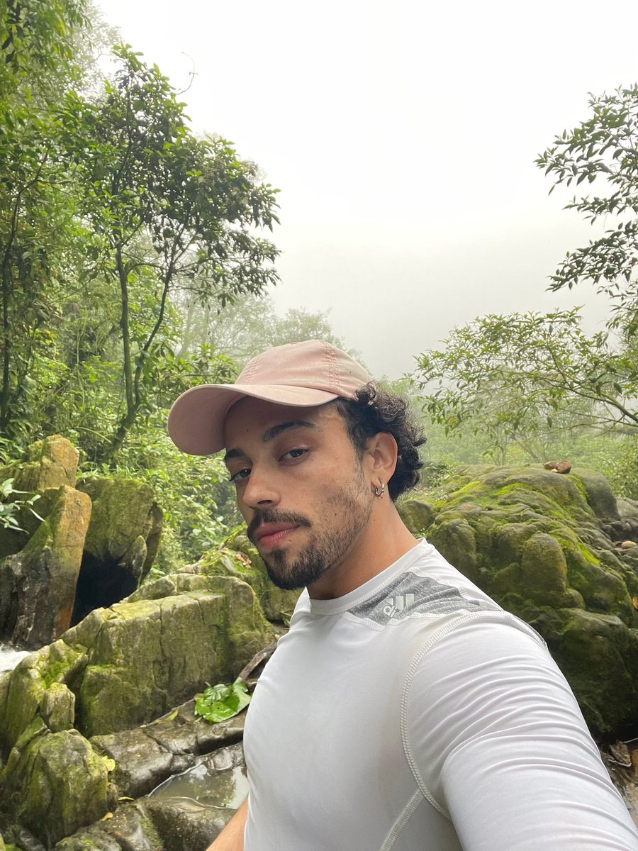 🏳⚧ DON PAPI 🇧🇷 tweet media