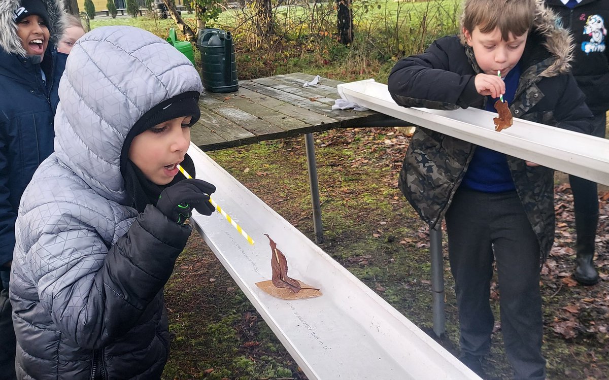 rootstofruit202's tweet photo. Solid.  Liquid.  Gas.

The fabulous Y4's @fourdwellingspa are investigating States of Matter in science this half-term.

Why do some solids float in liquid - and why do some float?

There's only one way to find out!

Design, build, and then race your own boat!

@MrsM_Court https://t.co/mAzNtexAii