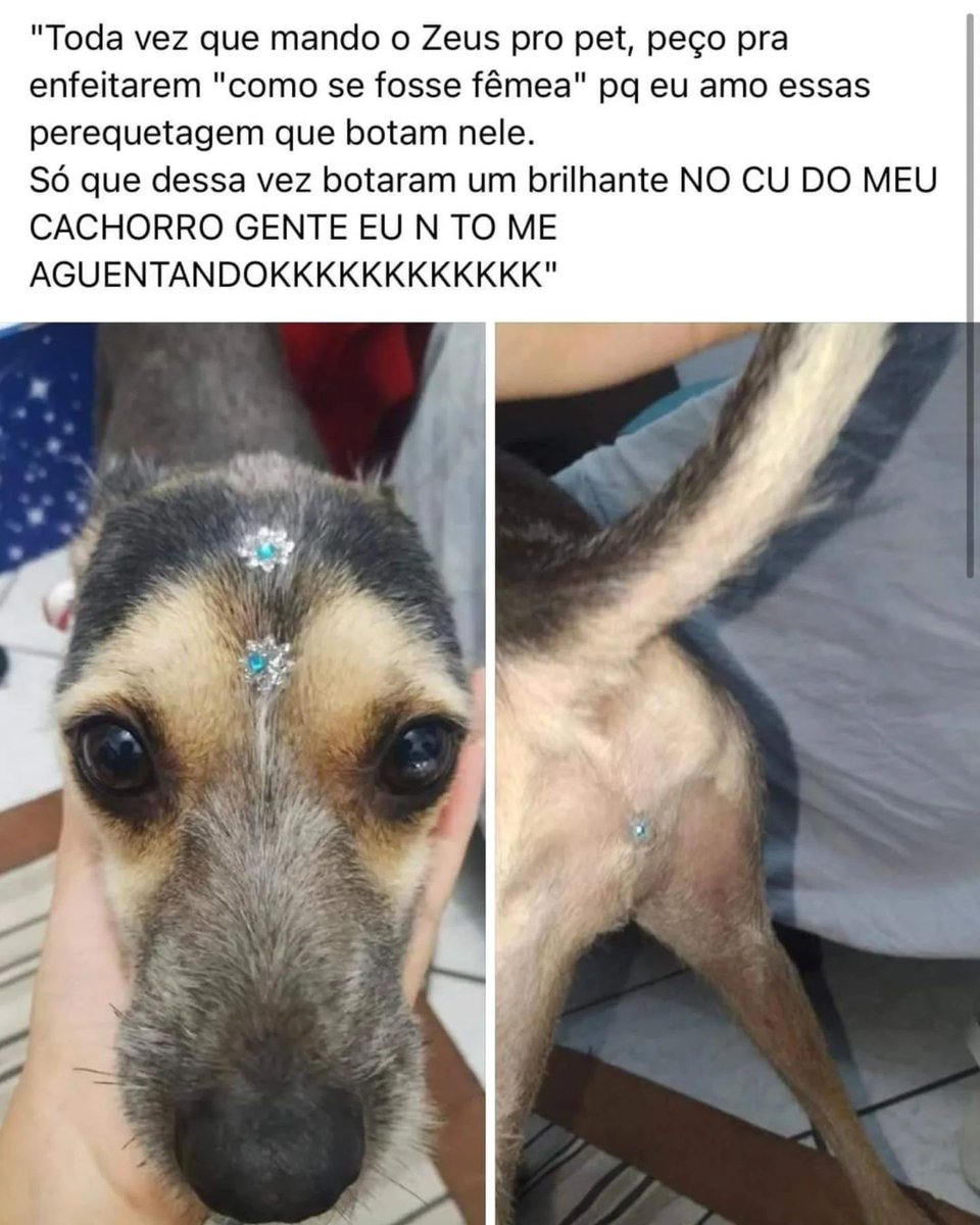 itimaliasof's tweet photo. Kkkkkkkkkkkkkkkkkkkkkkkkkkkkkkk kkkkkkkkkkkkkkkkkkkkkkkkkkkkkkk kkkkkkkkkkkkkkkkkkkkkkkkkkkkkkk https://t.co/qTPXtjgRBt