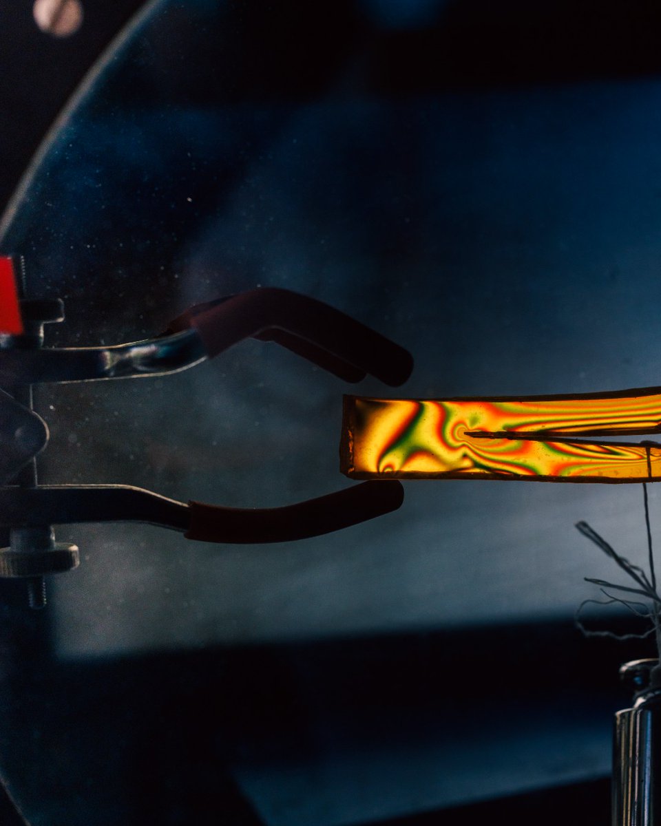 XBachelor tweet media