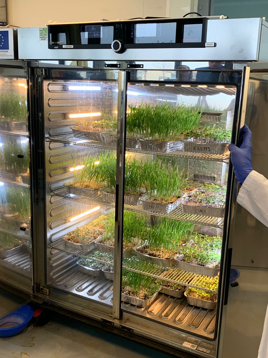 #Attractivité |🔬🏭 Agrandissement de @CT_IPC sur la zone du @BiopoleClermont Limagne à Saint-Beauzire 

<a href="/fbonnichon/">Bonnichon Frederic</a>, Président <a href="/RLV_agglo/">Riom Limagne et Volcans Agglomération</a>, et <a href="/PecoulPierre/">Pierre Pécoul</a>, VP à l’Economie, l’Emploi et l’Attractivité, ont découvert le projet du futur bâtiment prévu pour début 2026. 👍