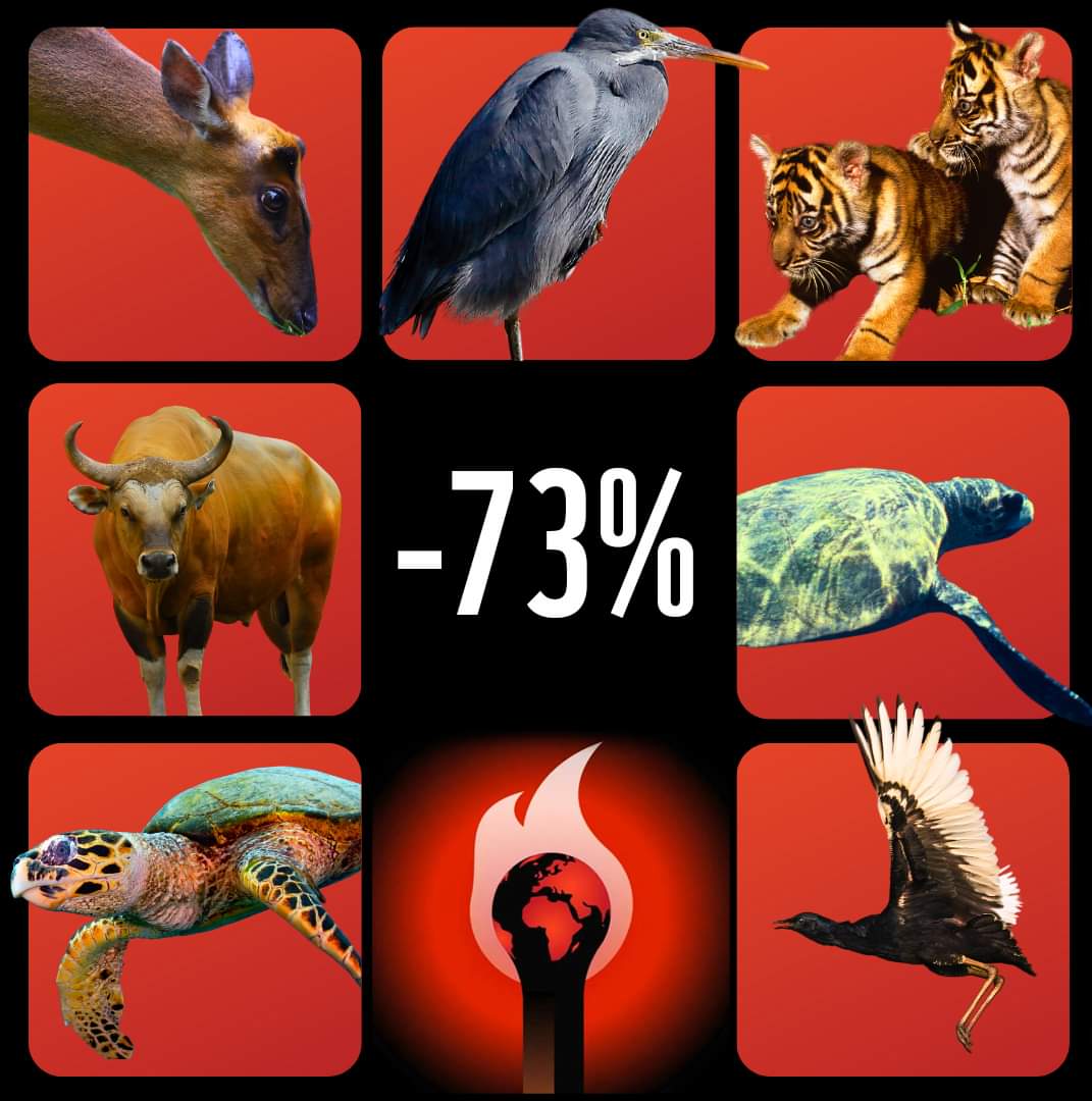 Dunja Mazzocco Drvar tweet media