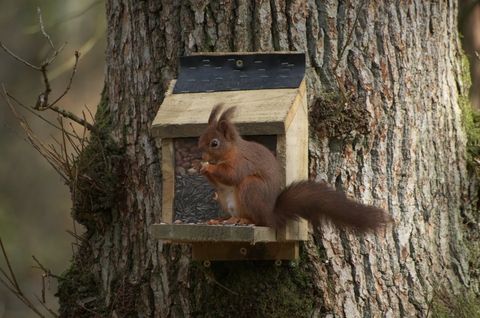 CJS News tweet media