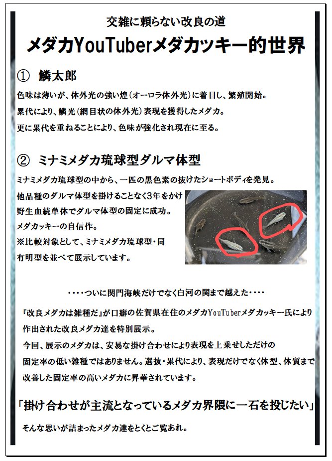 チビ太 (@chibita_0222) / Posts / X