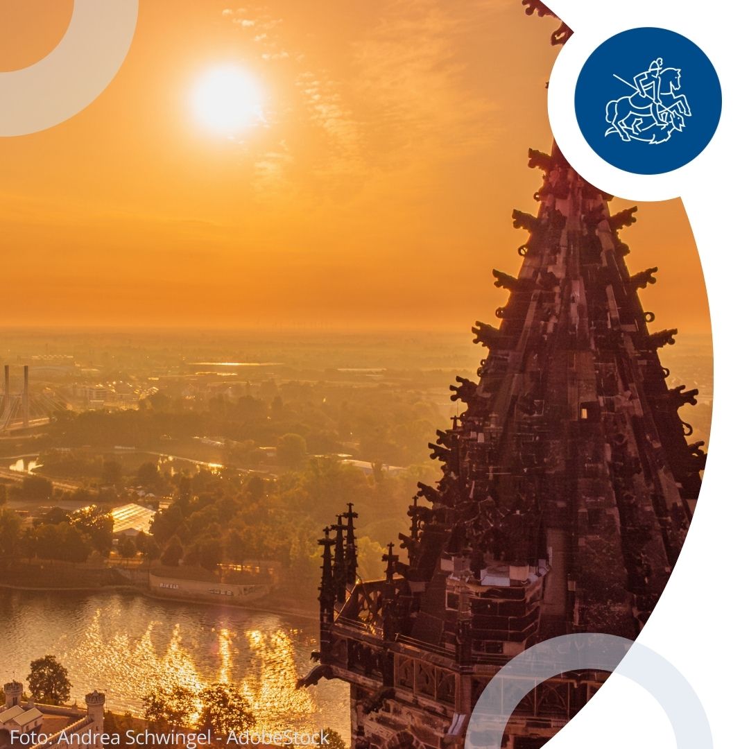 Mit einem Blick über Magdeburg wünschen wir ein schönes Wochenende 🌞