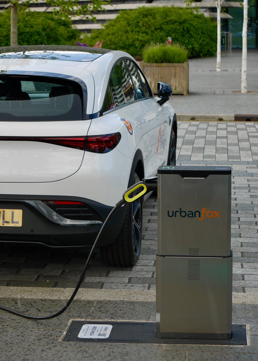 Urban Fox Networks tweet media