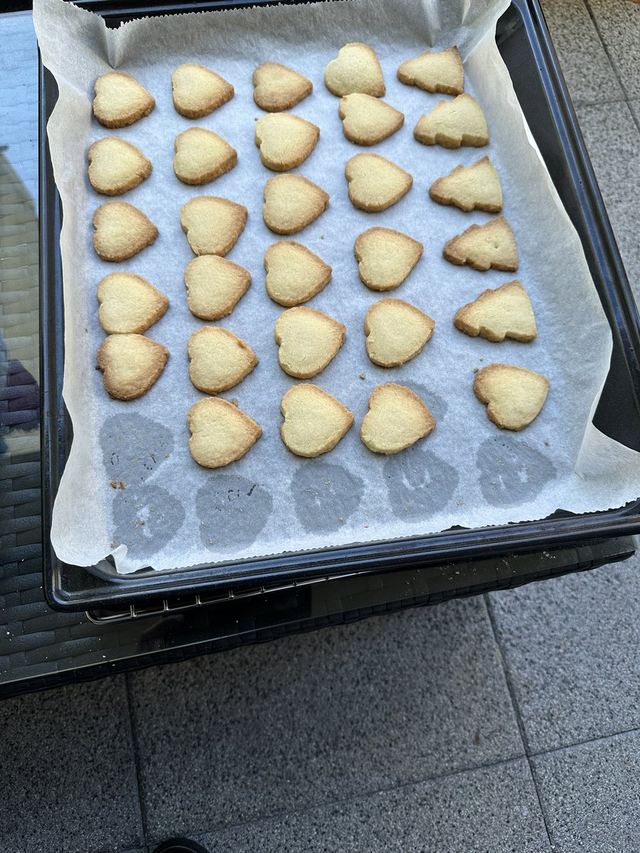 FrankTheTank tweet media