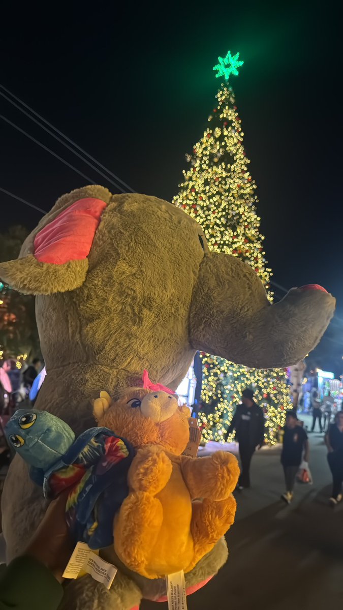 HAPPY THANKSGIVING 🦃💚