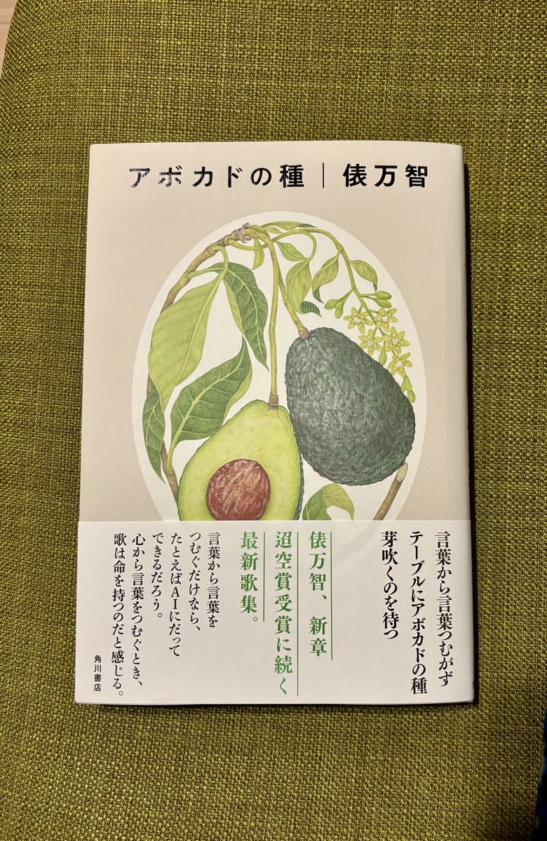 大好きな四字熟語、重版出来♪ （じゅうはん、しゅったい♪） 歌集